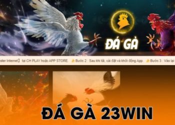 Đá gà 23win – Tìm hiểu những hình thức cá cược thú vị