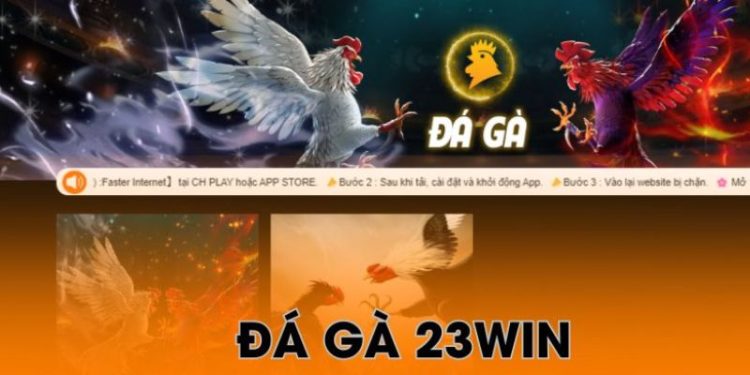 Đá gà 23win - Tìm hiểu những hình thức cá cược thú vị 1 Đá gà 23win – Tìm hiểu những hình thức cá cược thú vị