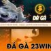 Đá gà 23win - Tìm hiểu những hình thức cá cược thú vị 10 Đá gà 23win – Tìm hiểu những hình thức cá cược thú vị