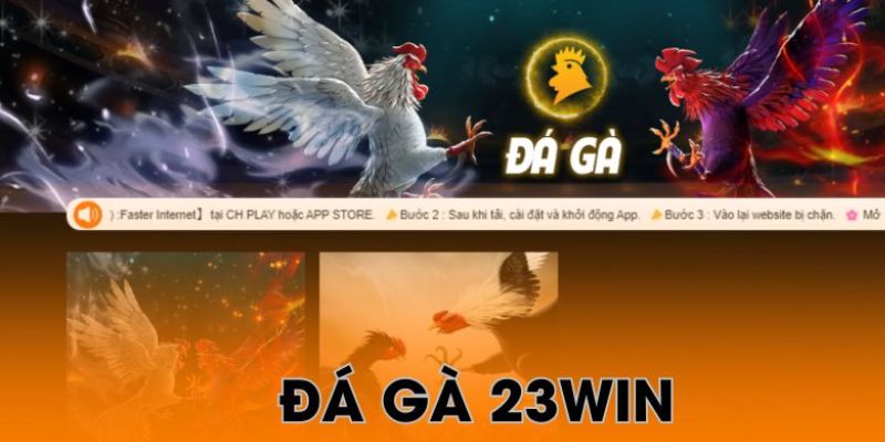 da ga 23win gioi thieu